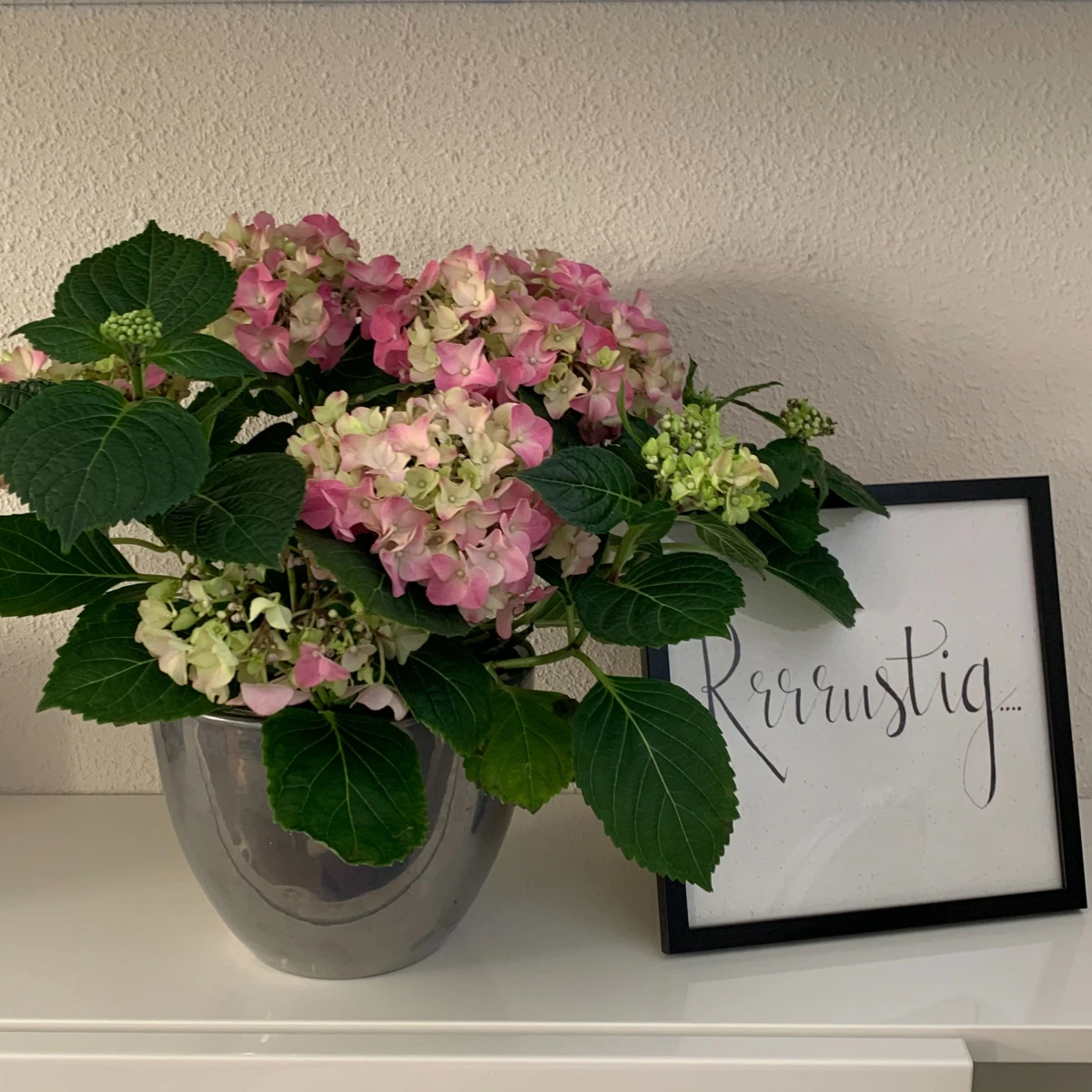 photo - Beauty Salon Oleander