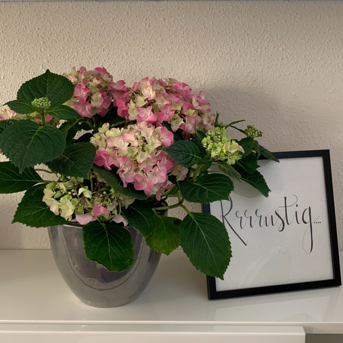 photo - Beauty Salon Oleander